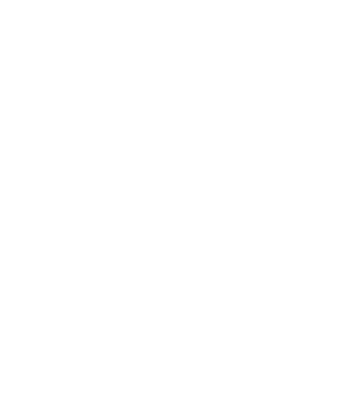 South A Tanz Connect