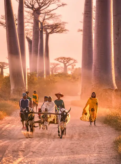 people-walking-on-a-dusty-road-at-sunset-with-tal-2025-04-04-22-36-41-utc
